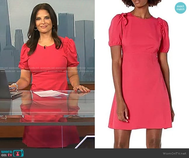 Lark & Ro Florence Puff Sleeve Dress worn by Darlene Rodriguez on Today