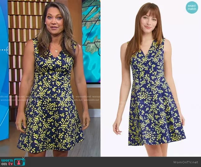 Love Circle Dress in Cherry Blossom by Draper James worn by Ginger Zee on Good Morning America