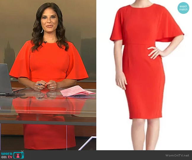 WornOnTV: Darlene’s red flutter sleeve dress on Today | Darlene ...