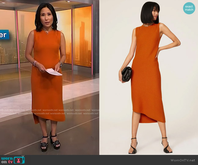 Victor Alfaro Collective Sleeveless Sweater Dress worn by Vicky Nguyen on NBC News Daily