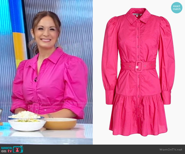 Walter Baker Tara Puff Sleeve Belted Shirt Dress in Pink worn by Anna Francese Gass on Good Morning America