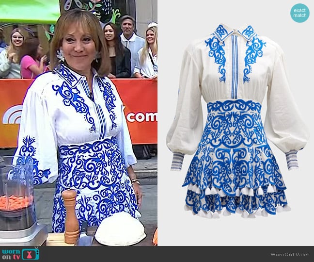 Alice + Olivia Loryn Embroidered Tiered Mini Dress worn by Elizabeth Heiskell on Today