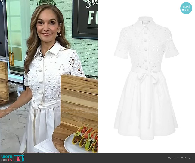 Alexis Tinley Eyelet Shirt Dress worn by Joy Bauer on Today