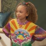 Neil’s multicolored embroidered sweater on Ravens Home