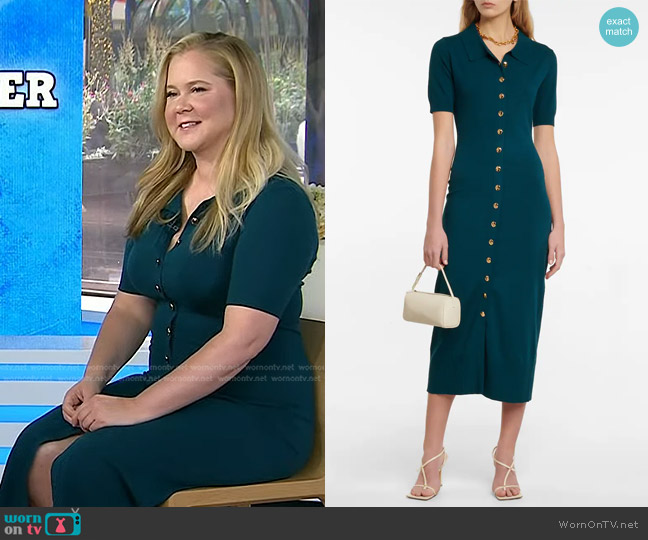 Altuzarra Hestia buttoned midi dress worn by Amy Schumer on Today