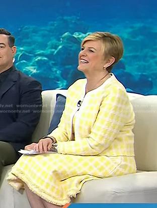 Anne Thompson's yellow check teed jacket and dress on Today