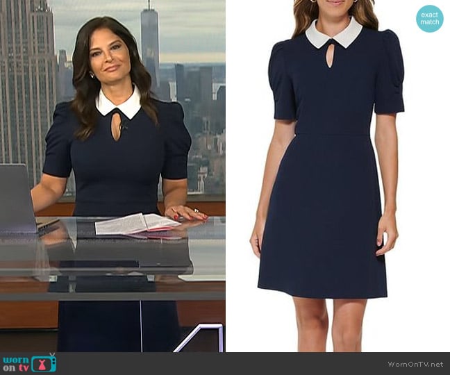WornOnTV: Darlene’s navy keyhole collared dress on Today | Darlene ...