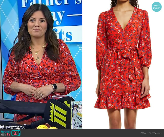 Eliza J Floral Long Sleeve Ruffle Minidress worn by Adrianna Barrionuevo Brach on Today