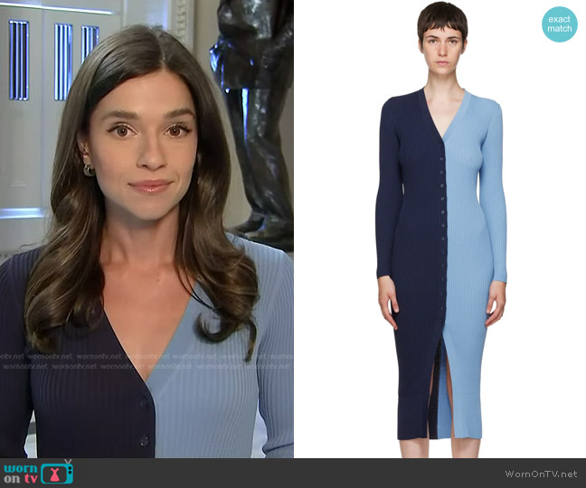 WornOnTV: Julie Tsirkin’s blue colorblock ribbed dress on NBC News ...