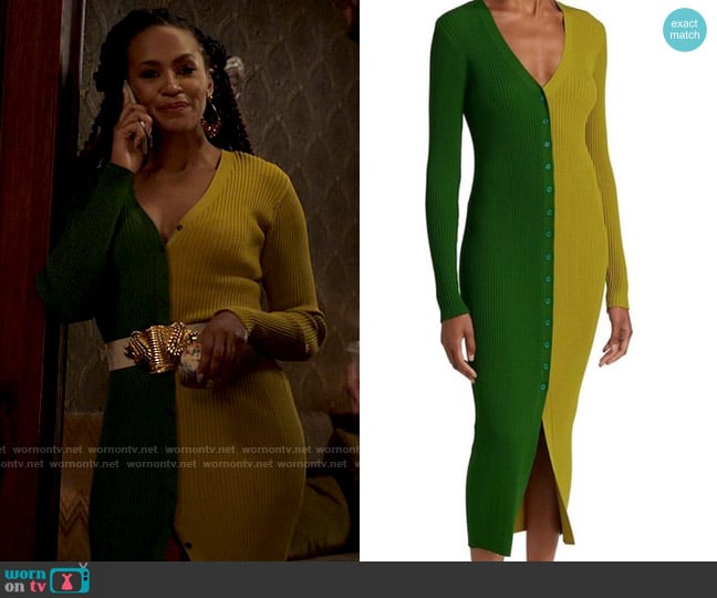 Staud Shoko Dress worn by Sondi Hill (Corbin Reid) on Run the World