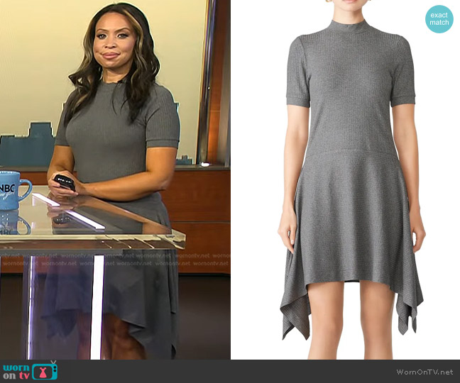 Susana Monaco Graphite Ribbed Dress worn by Adelle Caballero on Today