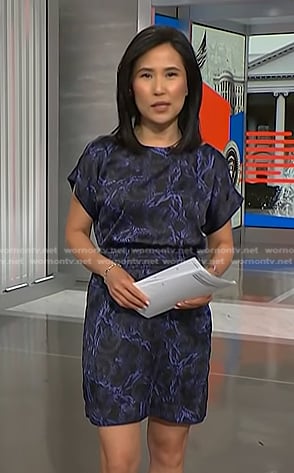Vicky's black and blue rope print dress on NBC News Daily