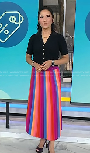 Vintage Inspired Embroidered Rainbow Stripe Mini Skirt - Black – Baiae