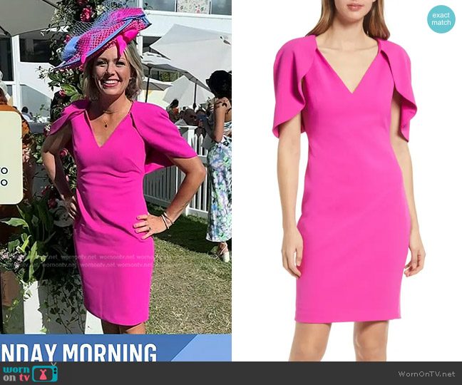 Vince Camuto Capelet Sleeve Cocktail Sheath Dress worn by Dylan Dreyer on Today