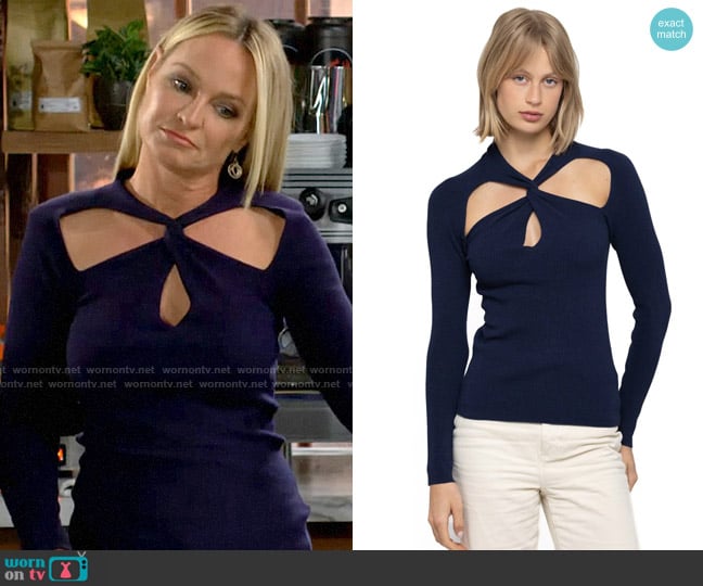 27 Miles Malibu Hyron Sweater worn by Sharon Newman (Sharon Case) on The Young and the Restless