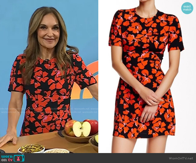 A.L.C. Nora Silk Hibiscus Print Dress worn by Joy Bauer on Today