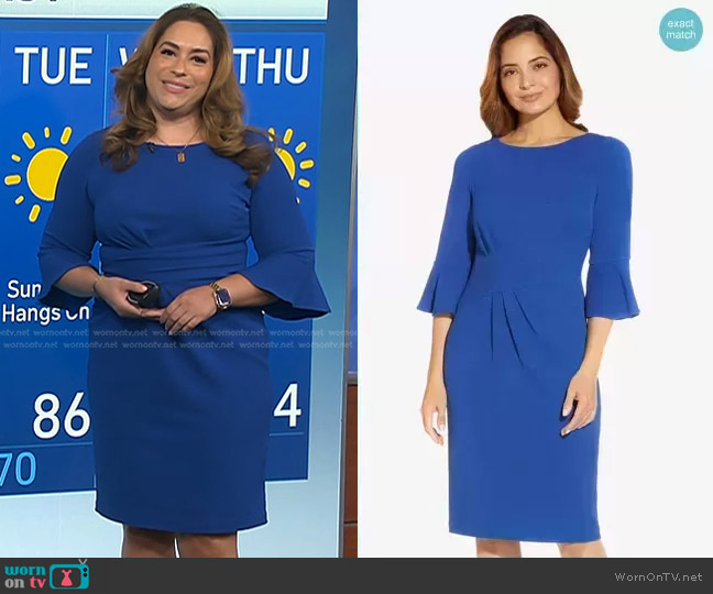 Adrianna Papell Knit Drapes Sheath Dress in Blue Sapphire worn by Violeta Yas on NBC News Daily