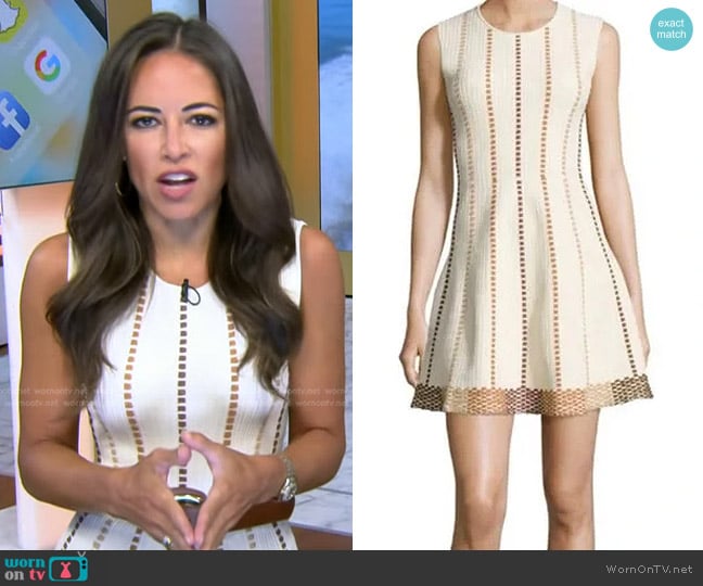 Bcbgmaxazria Dyanne A-Line Mini Dress worn by Kaylee Hartung on Today