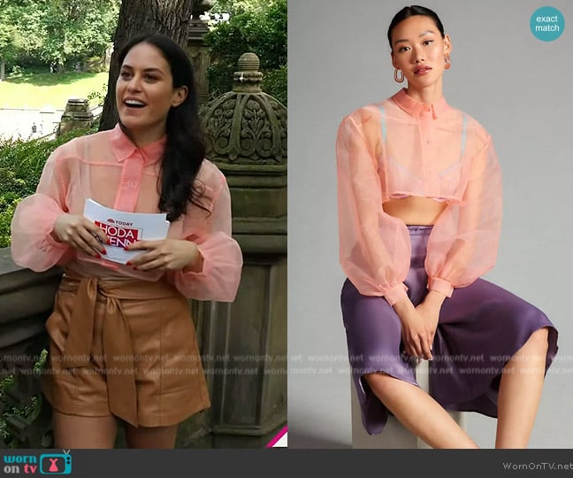 Anthropologie Sheer Crop Blouse in Pink worn by Donna Farizan on Today