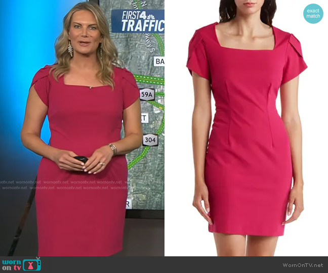 Connected Apparel Petal Sleeve Sheath Dress worn by Emily West on Today