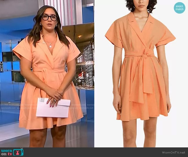 Claudie Pierlot Ritchie Tiered-Detail Cotton Mini Dress worn by Savannah Sellers on NBC News Daily