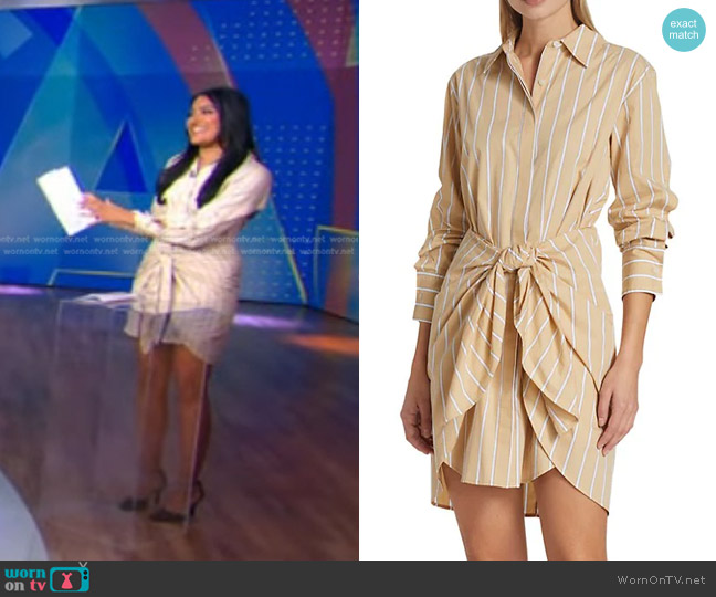 Derek Lam 10 Crosby Charlotte Cotton Striped Dress worn by Reena Roy on Good Morning America