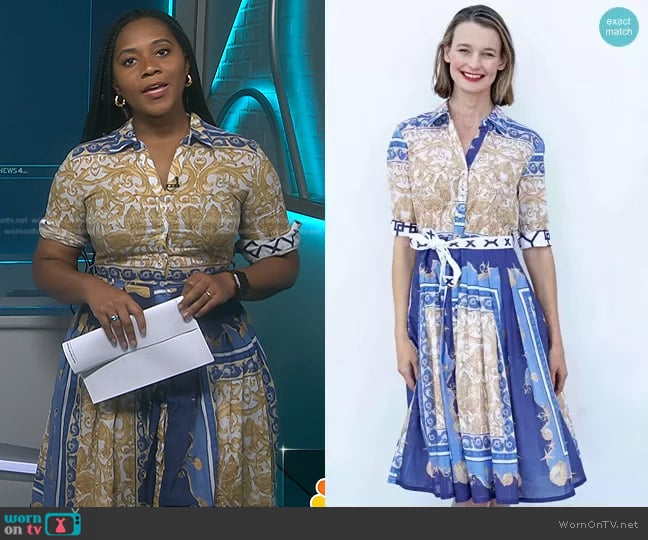 Dizzy-Lizzie Mrs Maisel Dress worn by Kay Angrum on NBC News Daily