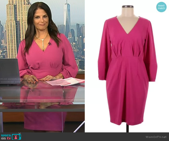 WornOnTV: Darlene’s pink v-neck long sleeve dress on Today | Darlene ...