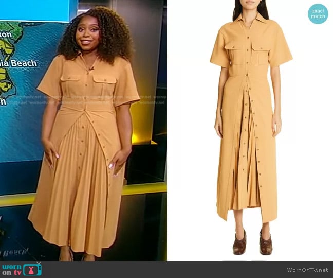 A.L.C. Florence Dress worn by Somara Theodore on Good Morning America