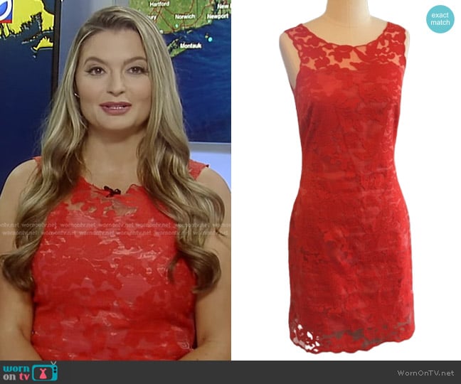 Gianni Bini Sleeveless Sheer Overlay Sheath Dress worn by Dani Beckstrom on Good Morning America