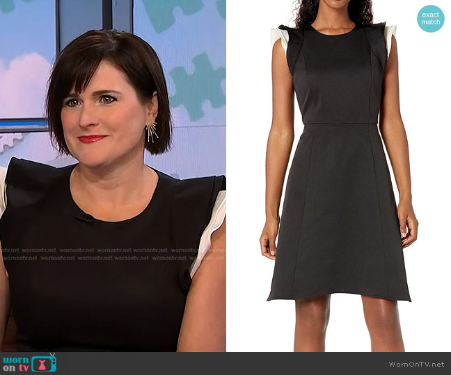 Halston Heritage Ruffle Sleeve Dress worn by Tanya Dalton on NBC News Daily