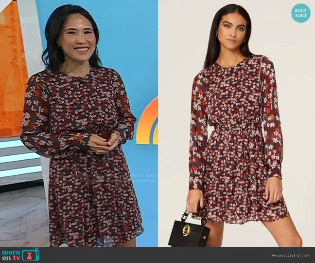 Jason Wu Collective Floral Tie Waist Dress worn by Vicky Nguyen on Today