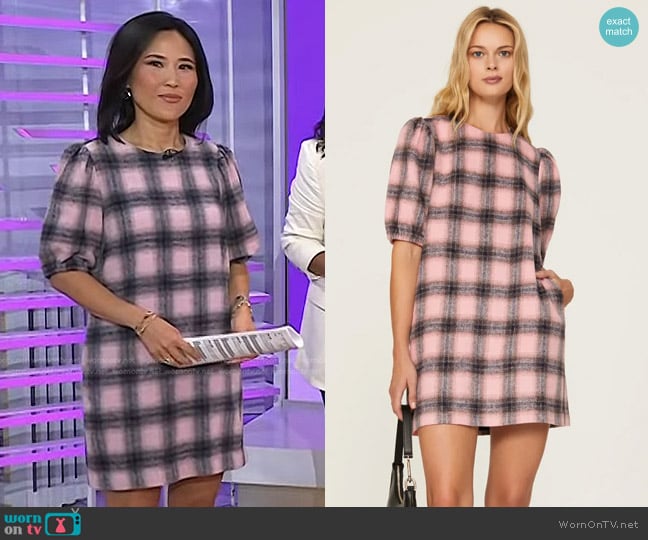 Toccin x RTR Pink Checkered Dress worn by Vicky Nguyen on Today