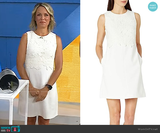 Vince Camuto Lace Popover Shift Dress worn by Dylan Dreyer on Today