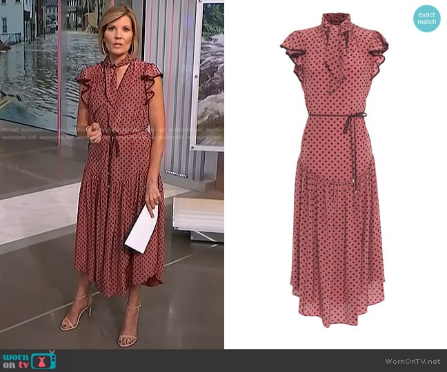 Zimmermann Espionage Flutter Tie-Neck Silk Midi Dress in Antique Rose worn by Kate Snow on NBC News Daily