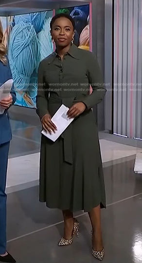 Zinhle Essamuah's green tie waist shirtdress on NBC News