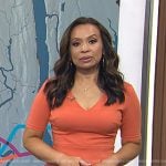 Adelle’s orange v-neck sheath dress on Today