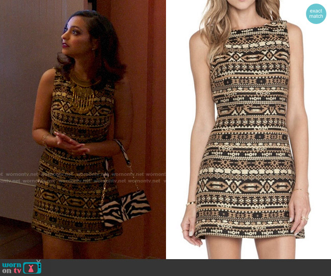 Alice + Olivia Wilcox Dress worn by Radha Shah (Becca Khalil) on Run the World