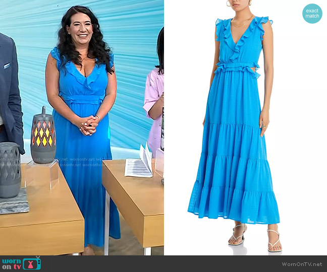 Aqua Ruffled Cutout Maxi Dress worn by Nicole Papantoniou on Today