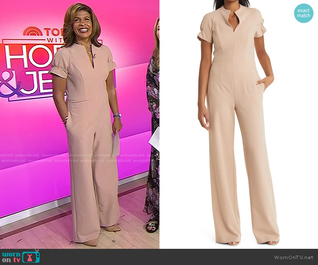 Chic Morning Vibes: Hoda Dons Jumpsuit on Today's Broadcast! | WornOnTV
