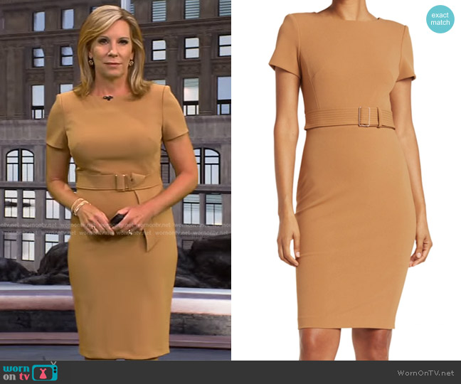 Calvin Klein Short Sleeve Belted Sheath Dress in Luggage worn by Jacqui Jeras on CBS Evening News