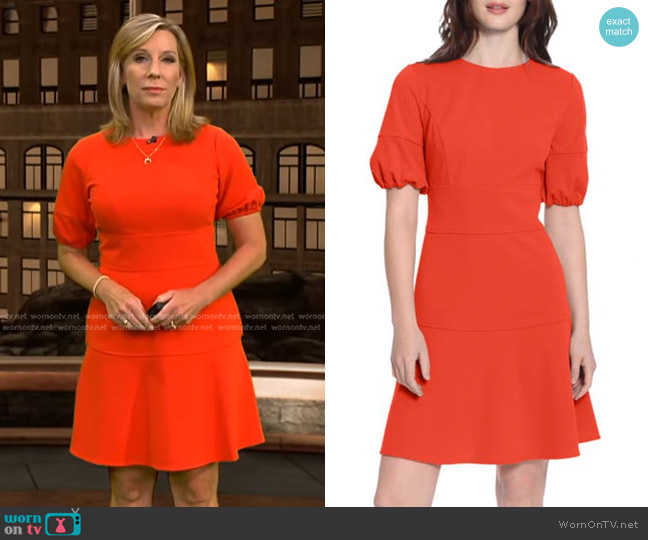 Donna Morgan Puff Sleeve Mini Dress worn by Jacqui Jeras on CBS Evening News