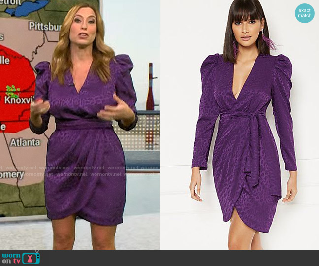 Eva Mendes Collection at New York & Co Dynasty Dress worn by Stephanie Abrams on CBS Mornings