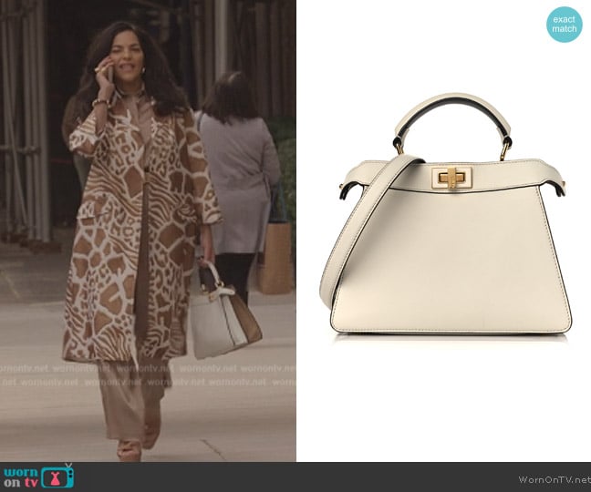 Fendi Vitello Seta Nappa Plexiglass Bi-Color Peekaboo bag worn by Seema Patel (Sarita Choudhury) on And Just Like That