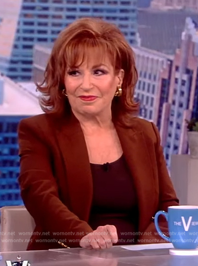 Joy’s brown double breasted blazer on The View