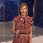 Kate Snow’s pink polka dot dress on NBC News Daily