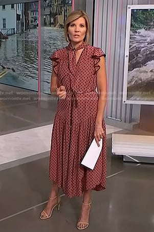 Kate Snow’s pink polka dot dress on NBC News Daily