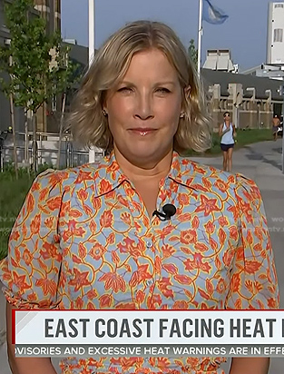 Kristen Dahlgren's blue and orange floral shirtdress on Today