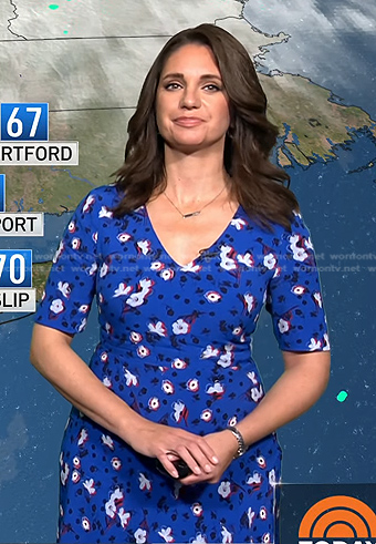 WornOnTV: Maria’s blue floral v-neck dress on Today | Maria Larosa ...