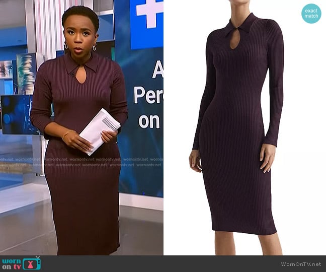 Reiss Ronnie Ribbed Knit Bodycon Dress in Purple worn by Zinhle Essamuah on NBC News Daily